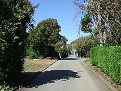 敷地内の様子と前面道路