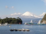 富士山と海を一望する西伊豆唯一の本格的別荘地「はまゆうの郷｣全７０区画中１３区画の販売　３００㎡～１３１７㎡　の写真