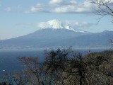 富士山と海を一望する西伊豆唯一の本格的別荘地「はまゆうの郷｣全７０区画中１３区画の販売　３００㎡～１３１７㎡　