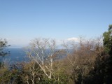 西伊豆戸田　海・富士山を望む自然豊かな売地！